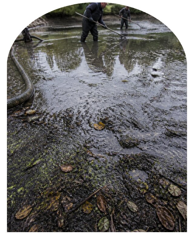 Очистка пруда в Тихвине от ила мусора и водорослей с вывозом